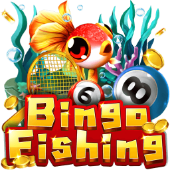 Bingo Fishing on ColorPlay